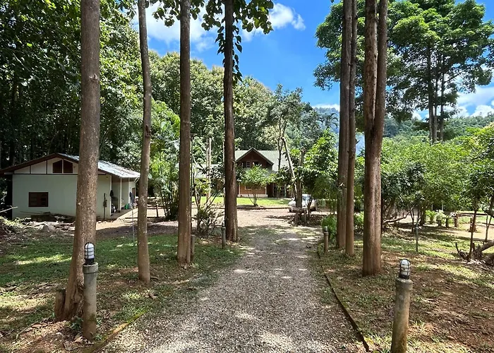 At Home Chiang Dao, Pooch Lovers
